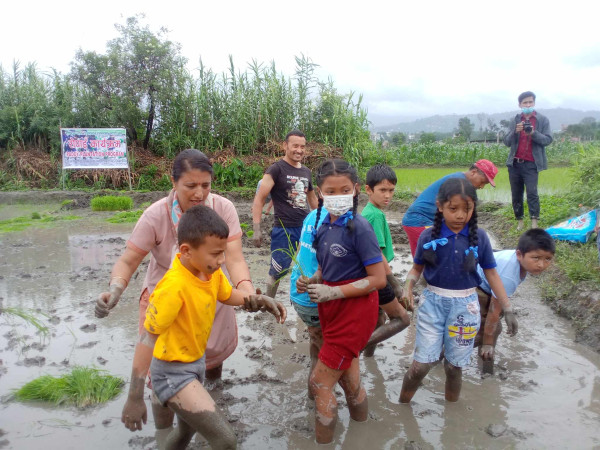 रोपाईमा रमाए भक्तपुरको एभरेस्ट स्कुलका विद्यार्थी