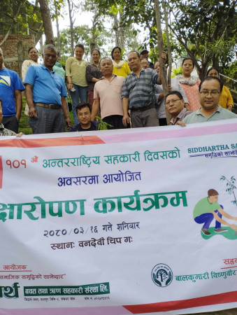 सिद्धार्थ सहकारीद्धारा वृक्षारोपण
