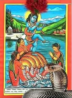 किन मूलढोका माथि नागको चित्र टाँसिन्छ ?