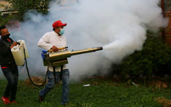 नेपालमा डेंगी संक्रमितको संख्या १९ हजार नाघ्यो