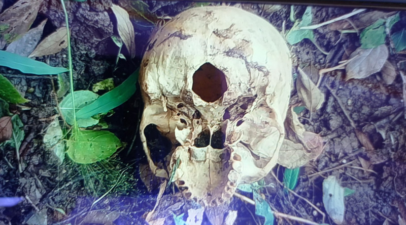 मध्यपुर थिमिको वालकुमारी वनमा टाउको छुटिएको लाश फेला 