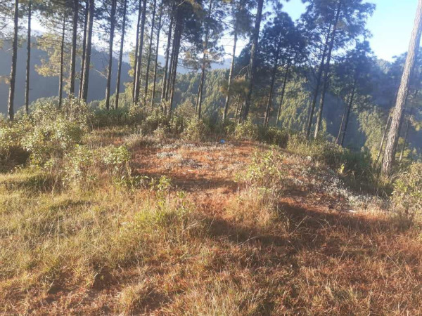 बर्माबाट फर्केर भक्तपुरको जंगलमा एकान्त बास