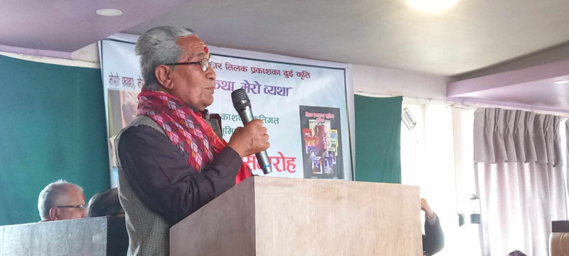 मेरो व्यथा र कृतिहरूका भूमिका सार्वजनिक