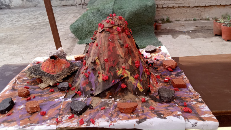 शारदा स्कुलमा शैक्षिक प्रदर्शनी 