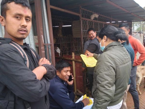 दिवालीलाई मध्यनजर गरी बोका विक्री बजार अनुगमन