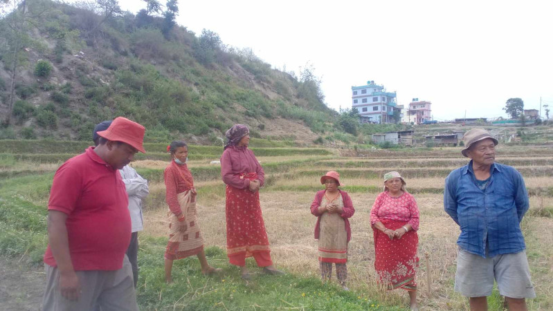 ताथलीमा विवाद ः झण्डै हात हालाहाल