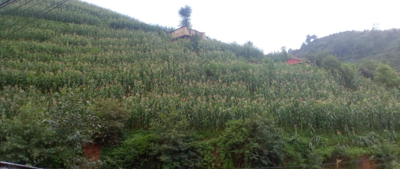 सूर्यविनायकमा पहिरोः प्लानिङको सिफारिसले मानबवस्ती जोखिममा 