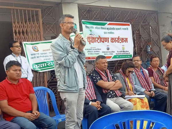 कासन झोखेल सडकका दायाँंबायाँं गरियो बृक्षारोपण