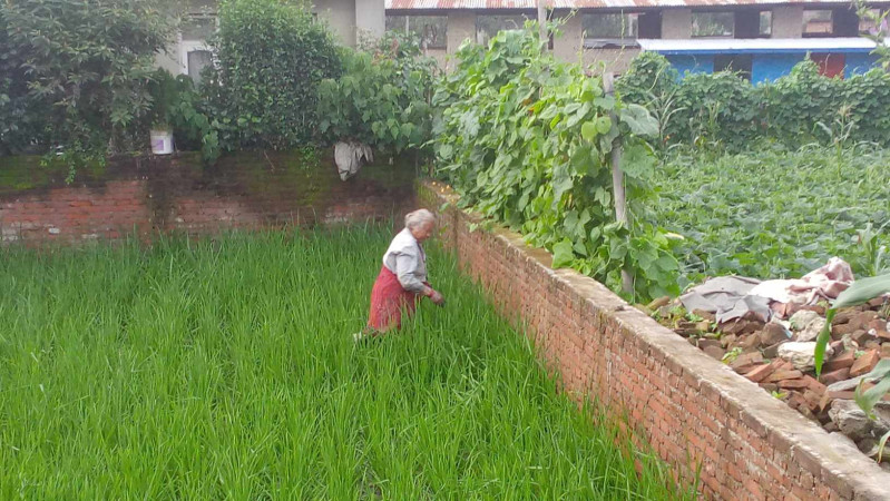सलाम यस्ता आमाहरुलाई 