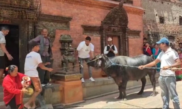 नवदुर्गा मन्दिरमा भित्राइयो दशैंको खम्ये