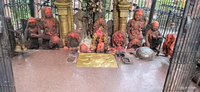 आज दसैँ घर वा पूजा कोठामा नौ दुर्गामध्येकी छैटौँ कात्यायनी देवीको विधिपूर्वक पूजा आराधना गरिँदै 