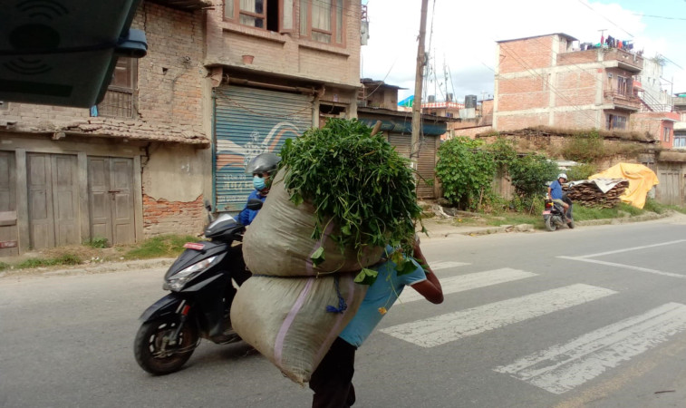 दसैंपछि, आफनै काममा फर्की आएँं....