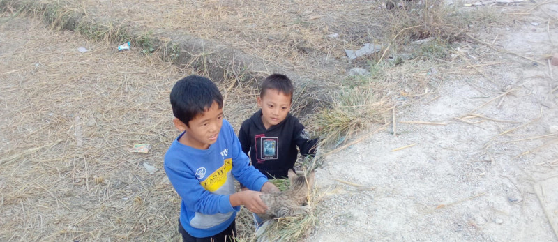 के गरेको हो यो ?