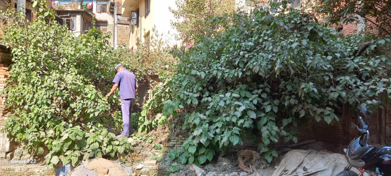 भक्तपुर महोत्सव ः एकैदिन गरियो सवै वडाहरुमा सरसफाई