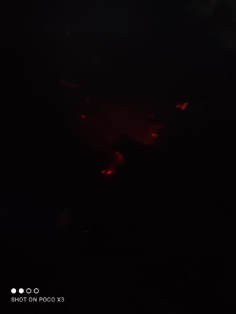 बंशगोपालमा आगलागी ः एक घण्टामा नियन्त्रण