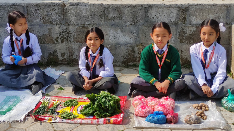 रोम्बस स्कूलमा हाटबजार, विद्यार्थीहरूमा व्यापारिक सोचको विकास 